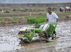 Mesin Perontok Pada Padi Adalah Perkembangan Teknologi Di Bidang